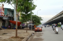 Doanh nghiệp làm nghĩa trang tro cốt giữa thủ đô: Chỉ là đề xuất