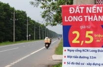 Liều mình ôm "bom", nhà giàu Hà Nội thắng cú lớn chục tỷ đồng