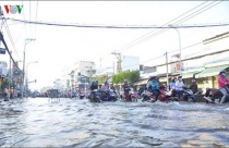Giải pháp chống ngập ở TP HCM: Các doanh nghiệp lên tiếng
