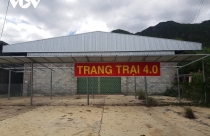 Khánh Hòa cưỡng chế 7 cửa hàng xây dựng không phép