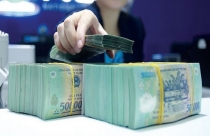 Ngân hàng rao bán cả nhà vệ sinh, giếng nước để thu hồi nợ