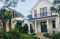 Tiền nhiều để làm gì, mua nghìn mét đất xây biệt thự rồi bỏ không