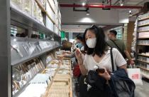 Vốn Nhật tăng tốc vào Việt Nam