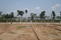 Vì sao hàng nghìn ha đất nông nghiệp bỏ hoang ở Nam Trung bộ?