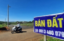 Bát nháo phân lô, bán nền Nam Trung bộ-Tây Nguyên