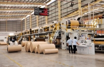 “Ông lớn” Thái Lan thâu tóm Bao bì Biên Hòa