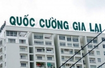 Cổ phiếu Quốc Cường Gia Lai tăng kịch trần