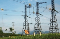 Quảng Ngãi: Kiên quyết không bồi thường, hỗ trợ các hộ có công trình xây trái phép thuộc dự án của EVN