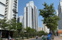 Thu nhập chưa tăng, giá nhà liên tục... phi nước đại