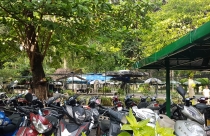 Công viên ở trung tâm TPHCM ngày càng "teo tóp"