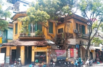 Bài 2: Nan giải công tác bảo tồn