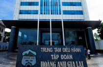 Trước tin thay chủ tịch, cổ phiếu HAGL Agrico vẫn tăng kịch trần với khối lượng khớp lệnh kỷ lục