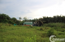 Quốc Cường Gia Lai khởi kiện Sunny Island