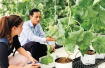 TP.HCM: Xử lý nhiều điểm nóng môi trường và đất đai