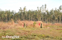 Sân bay Long Thành: Hoàn thành 3 hạng mục trong năm 2021