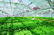 Hơn 10.000m2 “đất vàng” gần cảng Tân Thuận về tay Gotec Việt Nam