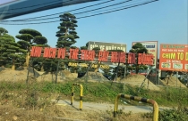 'Xẻ thịt' công viên cho thuê giá 'bèo'