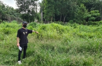 Giám đốc và phó giám đốc Công ty SP Land bị bắt tạm giam 4 tháng