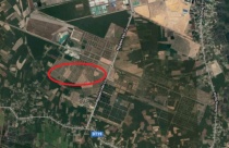 Đồng Nai: Đấu giá hơn 61ha đất mặt tiền đường Nguyễn Văn Cừ huyện Nhơn Trạch