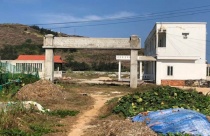 Lạ đời: Thuê từng mét đất trồng hành tỏi nhưng lại bỏ hoang 32.000m2