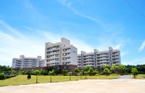 Quảng Ngãi chấp thuận chủ trương đầu tư dự án nhà ở xã hội quy mô 8ha