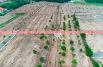 Bà Rịa- Vũng Tàu: Sắp có quyết định mới về tách thửa đất để chặn phân lô bán nền
