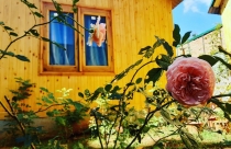 Nỗi niềm homestay