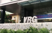Thanh tra điểm tên VRG, Vinafor, Vinatea do sai phạm trong quản lý đất đai