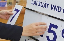 TP.HCM: Ban hành Kế hoạch phòng, chống vi phạm pháp luật về đất đai trong quý 1/2020