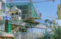 Khách hàng đỏ mắt vì doanh nghiệp bán ‘lúa’ non