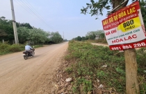 Lãi suất ngân hàng thấp sẽ tạo ra đợt tăng giá đất mới?