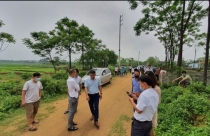 TP.HCM: Xử lý các dự án đã có quyết định giao đất, thuê đất trong giai đoạn 2015 – 2019