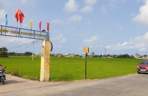 Rủ nhau... bán ruộng