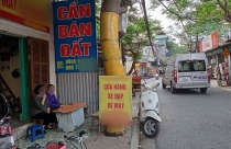 Cẩn trọng với ''sốt'' đất ven sông Hồng