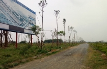 Nghe bạn thân, đầu tư đất nền đón “sóng” quy hoạch ai ngờ ôm “trái đắng”