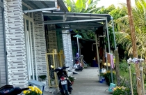Cẩn trọng khi chuyển nhượng nhà, đất