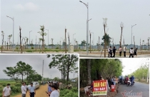 Bộ Xây dựng: Chặn tung tin thổi giá, xử nghiêm ‘cò’ đất bát nháo bán mua