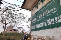 Môi giới tung hứng, giá đất Thủy Nguyên tăng vọt
