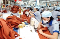 Sau 8 tháng thực thi EVFTA, xuất khẩu sang EU đạt gần 4,8 tỷ USD