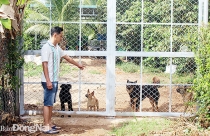 Dựng hàng rào, thả chó trên lối đi đang tranh chấp