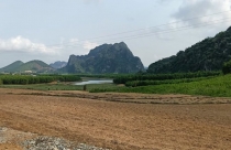Sau "cơn sốt" khủng khiếp, đất miền núi Thanh Hóa bắt đầu "đóng băng"