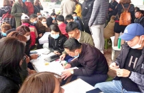 Đất núi cũng sốt, hàng trăm người từ xa đến 'rinh'
