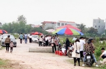 Bất động sản 24h: Cơn sốt địa ốc đã hạ nhiệt?