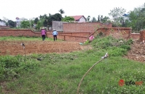 Giá đất Hà Nội tăng cao, nhà đầu tư tháo chạy, vác tiền về quê đầu tư đất