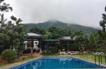 Ôm tiền về quê săn đất hàng nghìn m2, đại gia ngao ngán bán cả dinh cơ