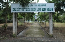 Hậu Giang duyệt đề án du lịch sinh thái 2.800ha
