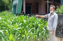 Xã bán đất trái thẩm quyền, dân lãnh hậu quả