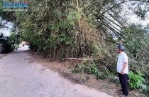 Một 'sổ đỏ' hai thửa đất