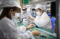 Tạo khung pháp lý cho hoạt động đầu tư phát triển KCN, khu kinh tế