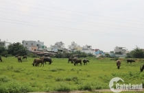 Lướt sóng đất nền, nhà đầu tư “kiệt sức” chạy tiền trả lãi ngân hàng